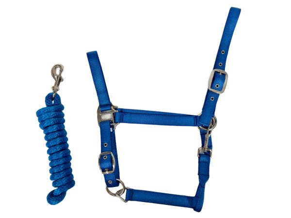 HORSEMATE NYLON HALTER & LEAD ROPE SET