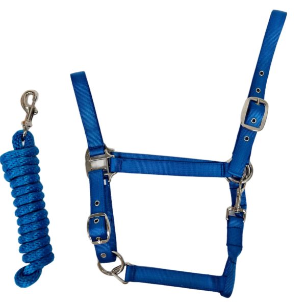 HORSEMATE NYLON HALTER & LEAD ROPE SET