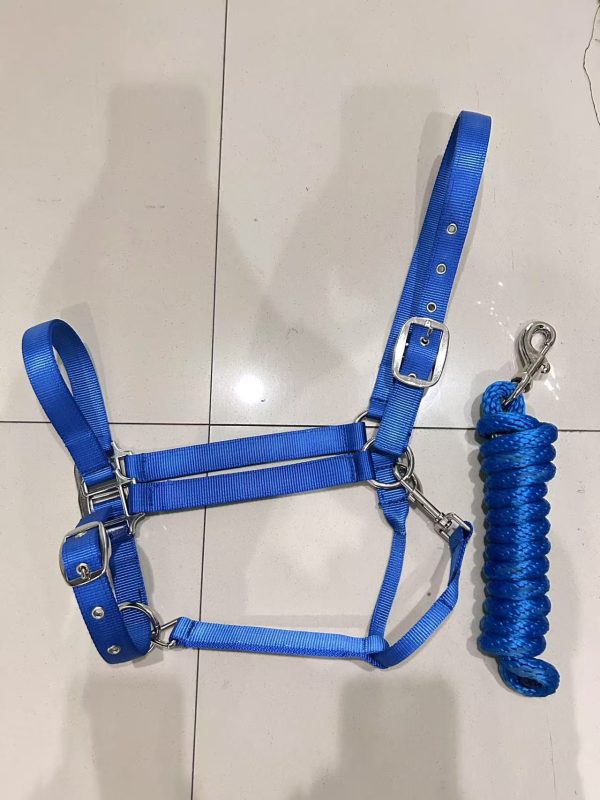 HORSEMATE NYLON HALTER & LEAD ROPE SET