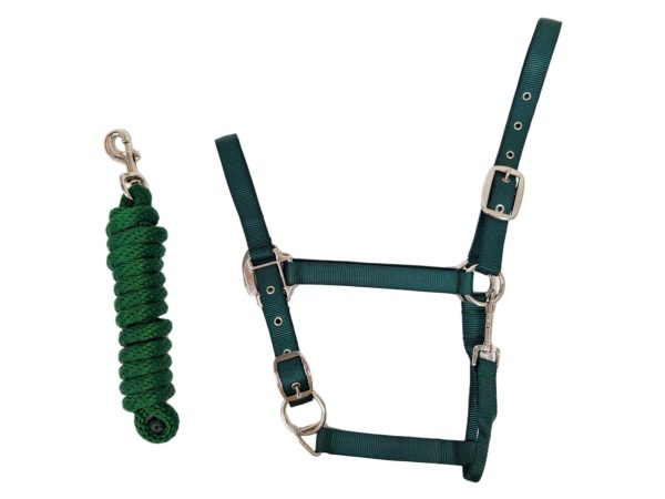 HORSEMATE NYLON HALTER & LEAD ROPE SET