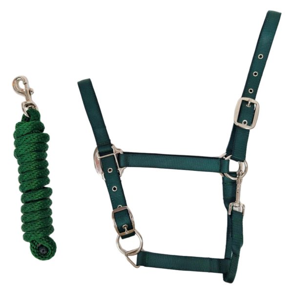 HORSEMATE NYLON HALTER & LEAD ROPE SET