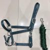 HORSEMATE NYLON HALTER & LEAD ROPE SET