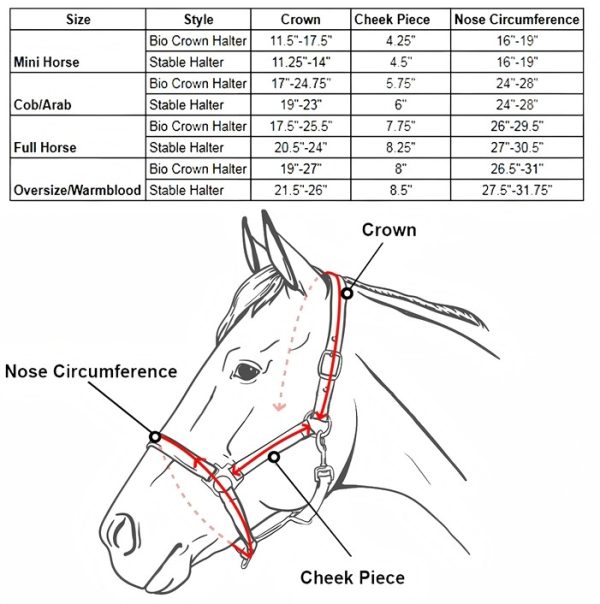HORSEMATE NYLON HALTER & LEAD ROPE SET